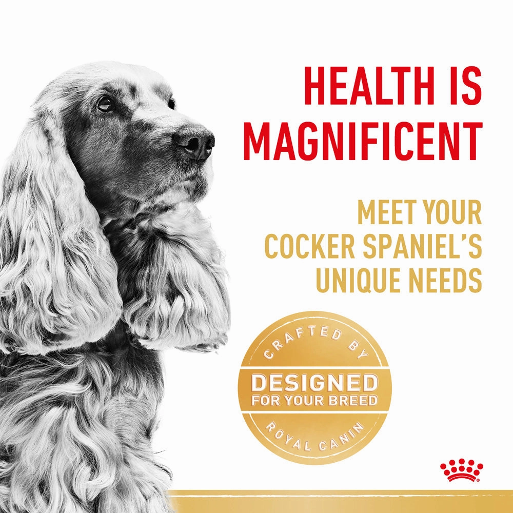 Royal Canin - Cocker Spaniel Breed Adult Dog Dry Food (3kg)