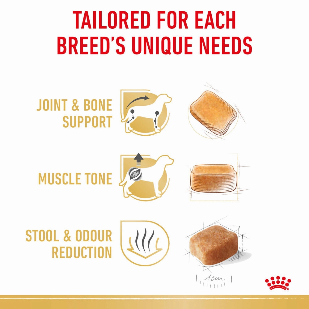 Royal Canin - Dachshund Breed Adult Dog Dry Food (1.5kg)