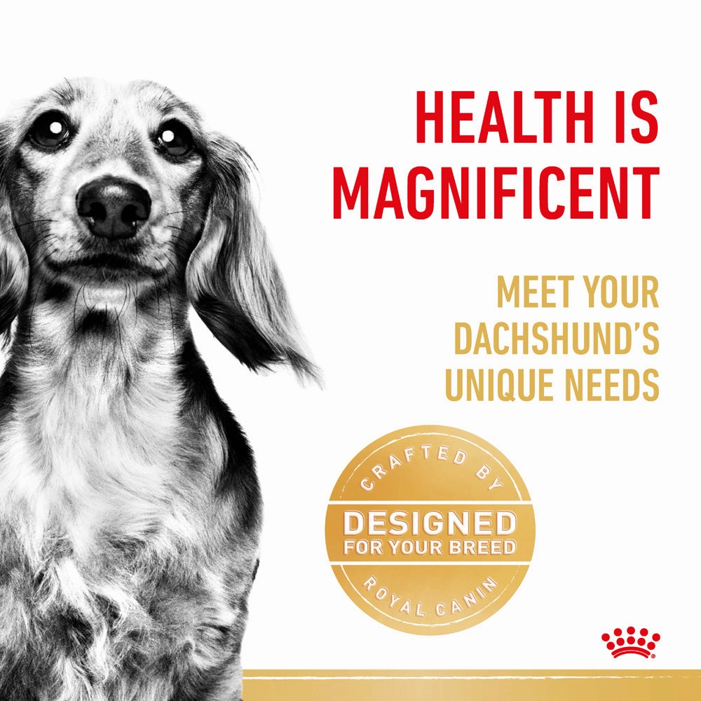 Royal Canin - Dachshund Breed Adult Dog Dry Food (1.5kg)