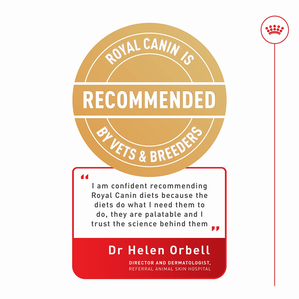Royal Canin - Digestive Care Adult Dog Wet Food (85g x 12pk)