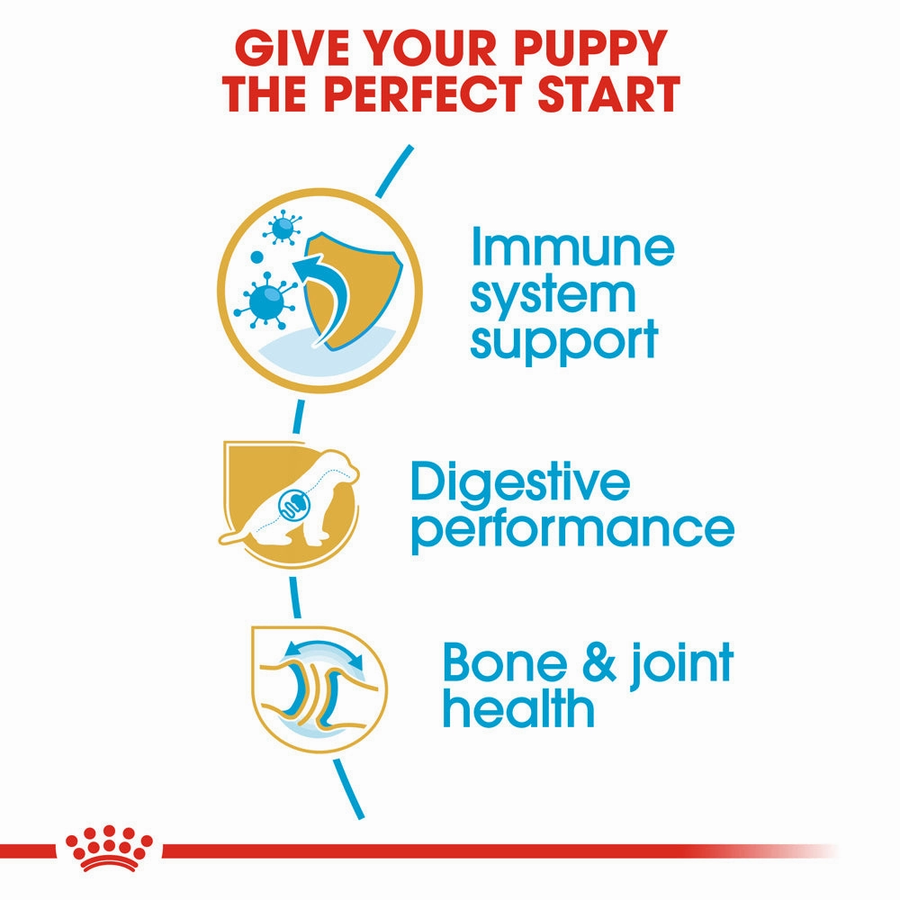 Royal Canin - German Shepherd Breed Puppy Dry Food (12kg)