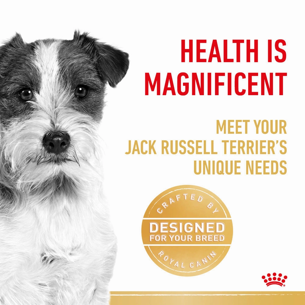 Royal Canin - Jack Russell Terrier Breed Adult Dog Dry Food (3kg)