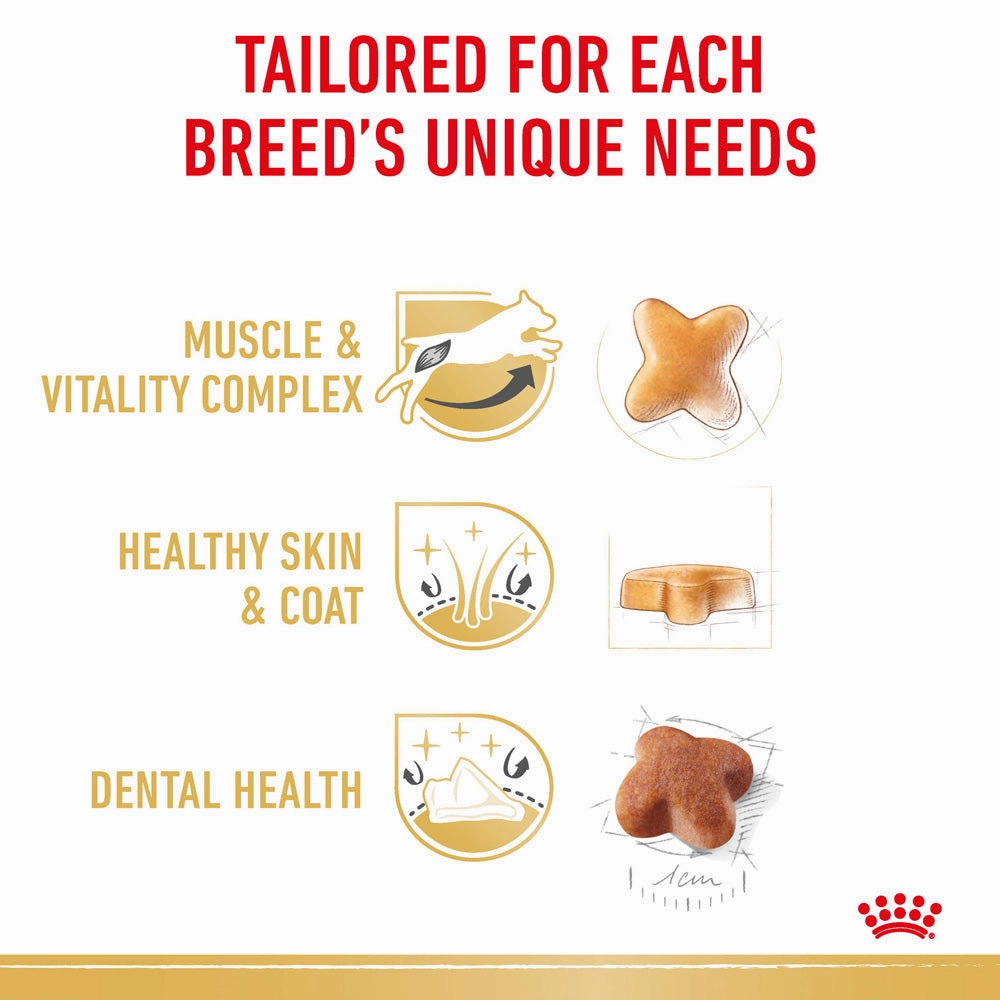 Royal Canin - Jack Russell Terrier Breed Adult Dog Dry Food (3kg)