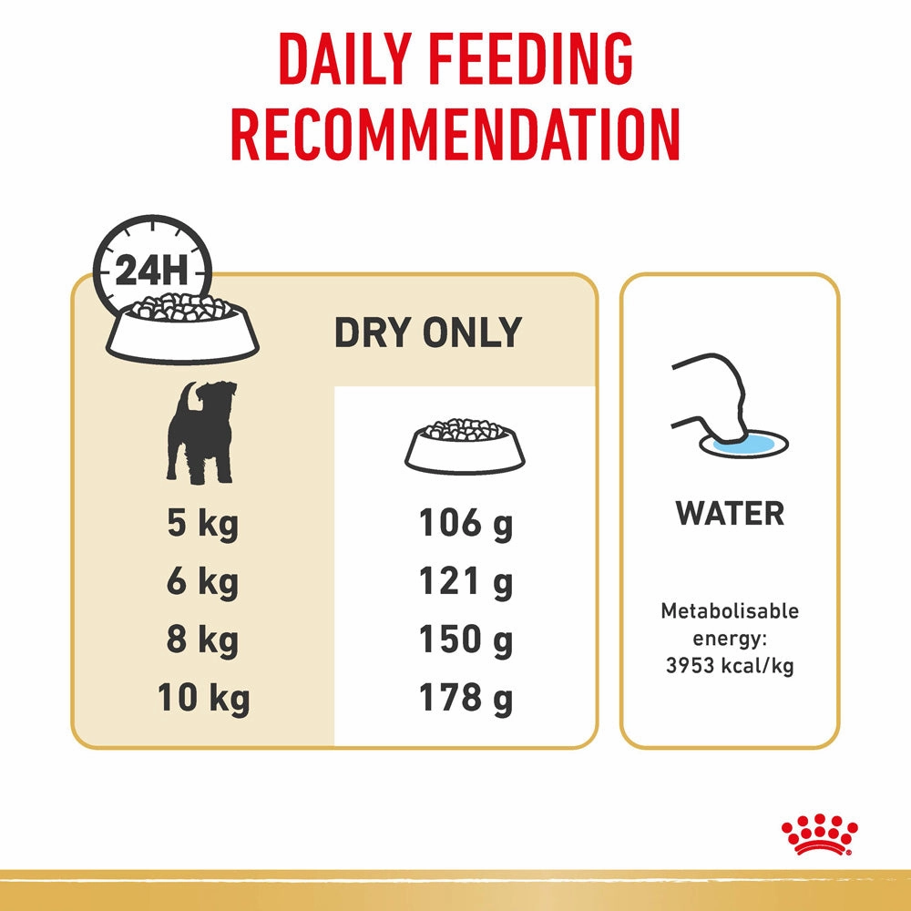 Royal Canin - Jack Russell Terrier Breed Adult Dog Dry Food (3kg)