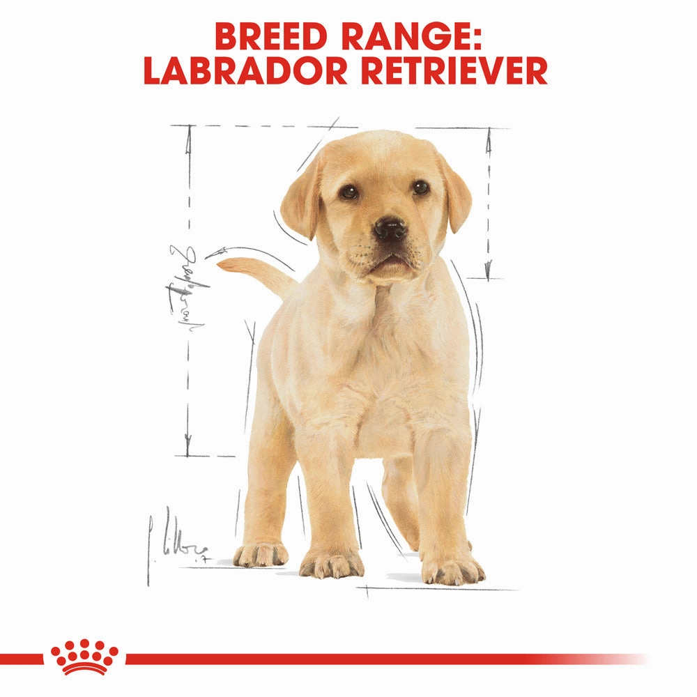 Royal Canin - Labrador Breed Puppy Dog Dry Food (12kg)