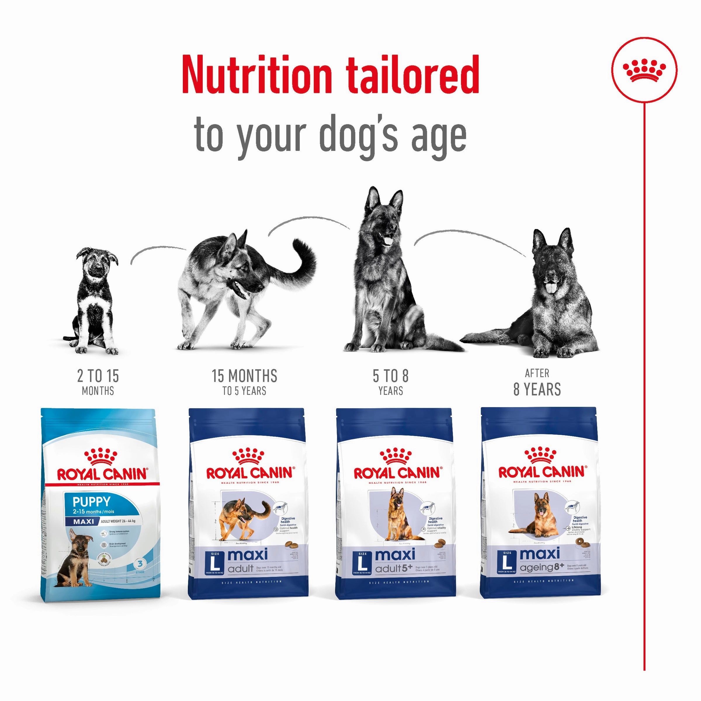 Royal Canin - Maxi Adult Dog Dry Food (15kg)