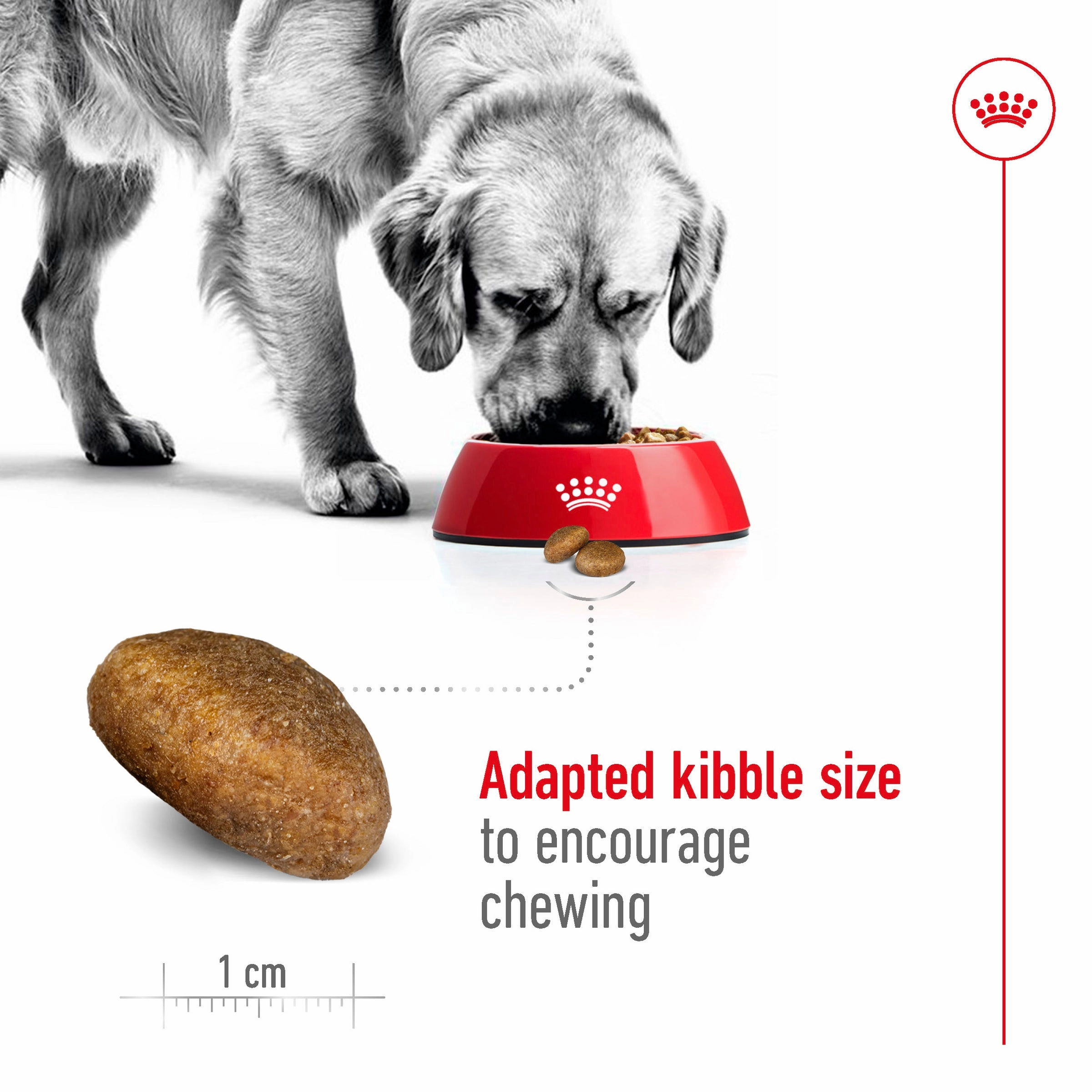 Royal Canin - Maxi Adult Dog Dry Food (15kg)