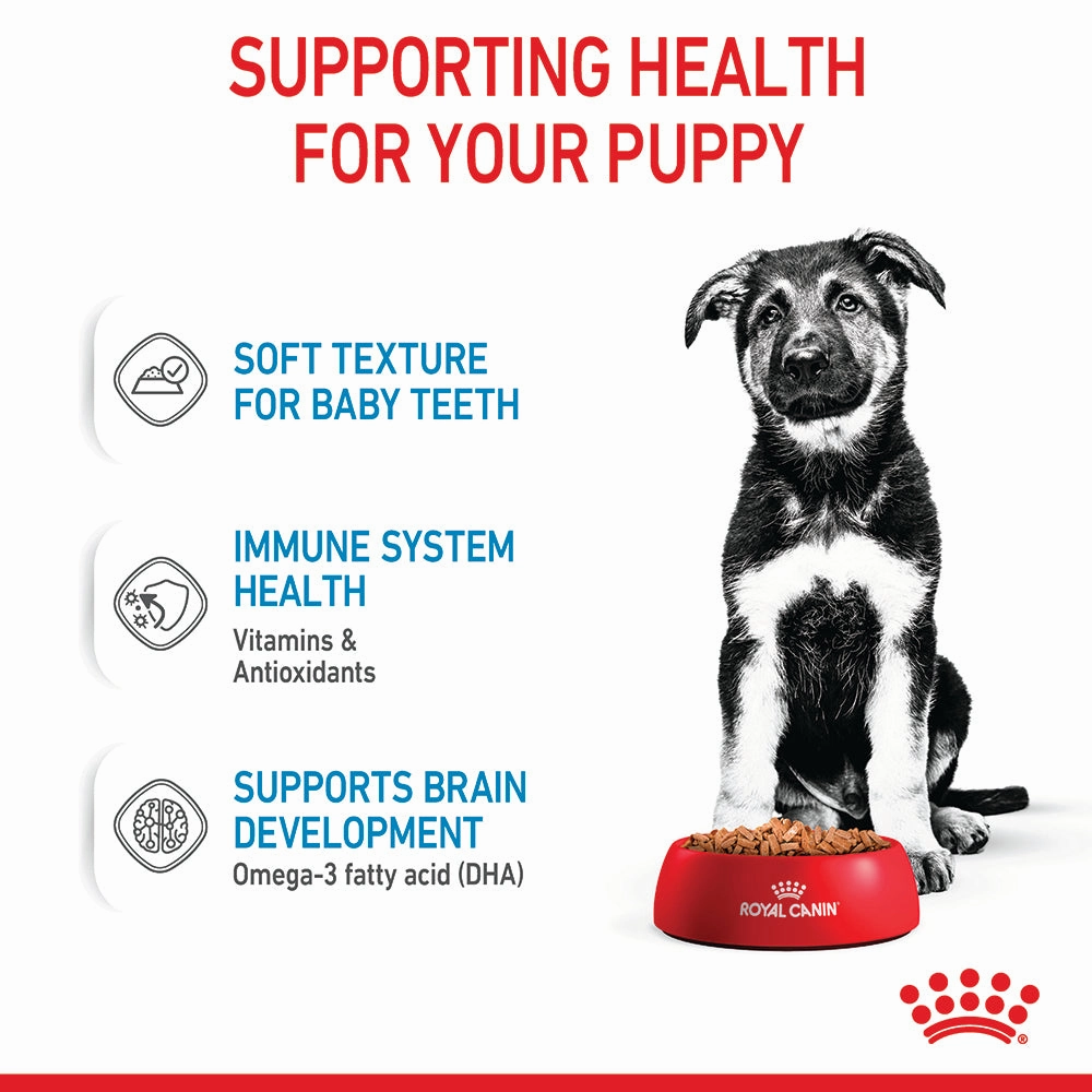 Royal Canin - Maxi Puppy Dog Wet Food (140g x 10pk)