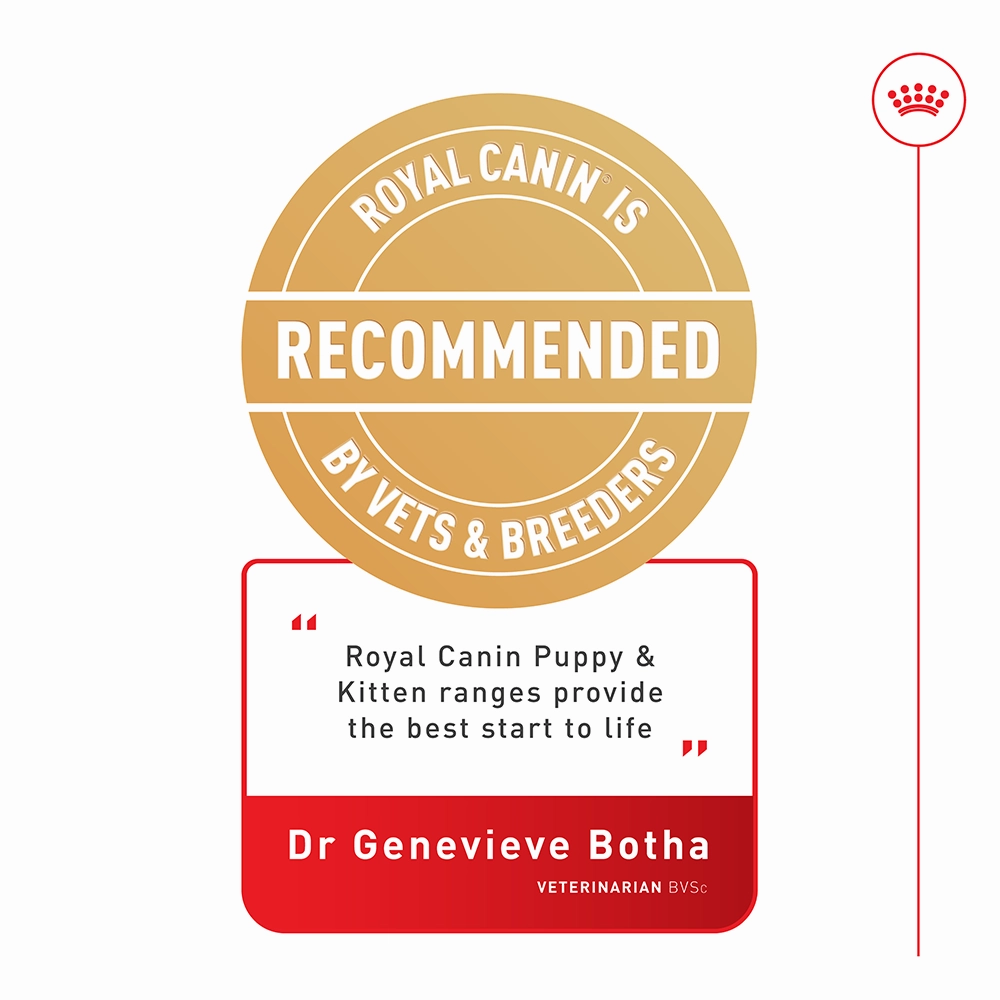 Royal Canin - Maxi Puppy Dog Wet Food (140g x 10pk)