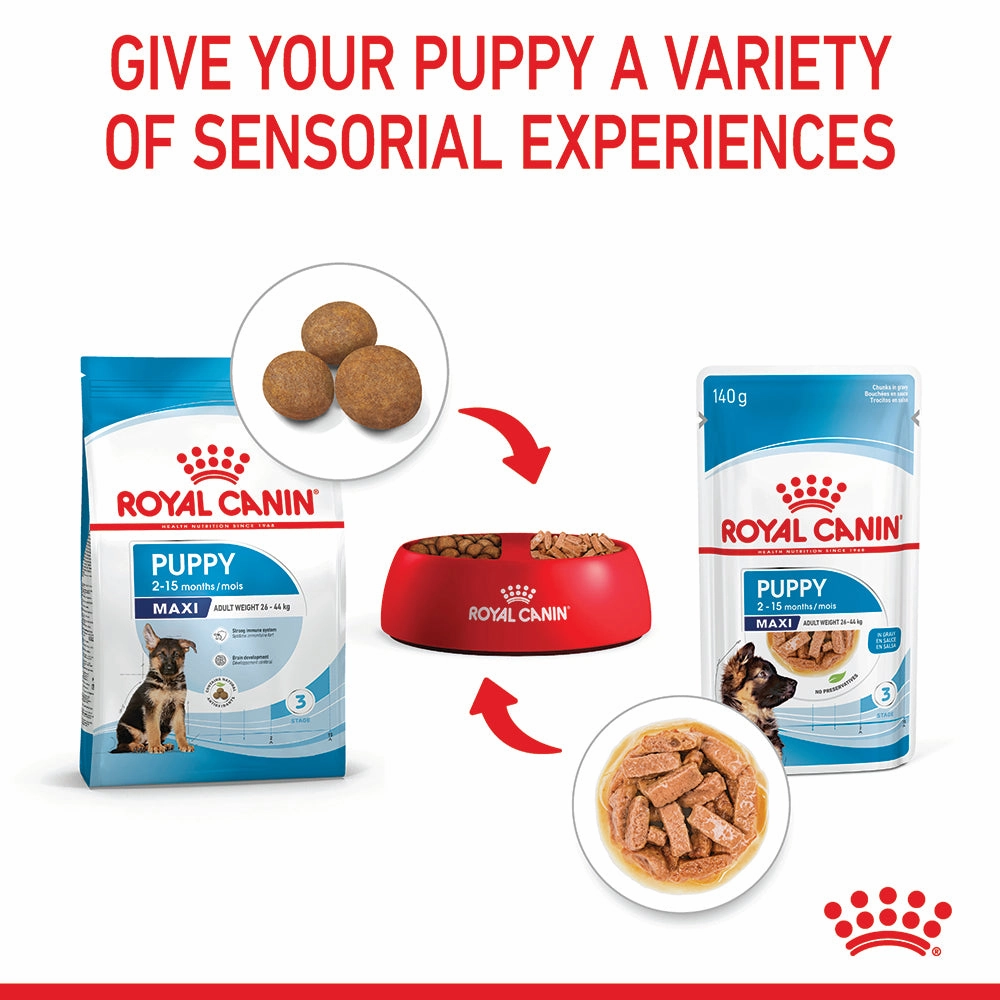 Royal Canin - Maxi Puppy Dog Wet Food (140g x 10pk)