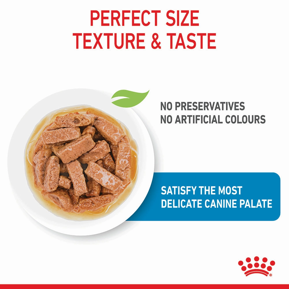 Royal Canin - Maxi Puppy Dog Wet Food (140g x 10pk)