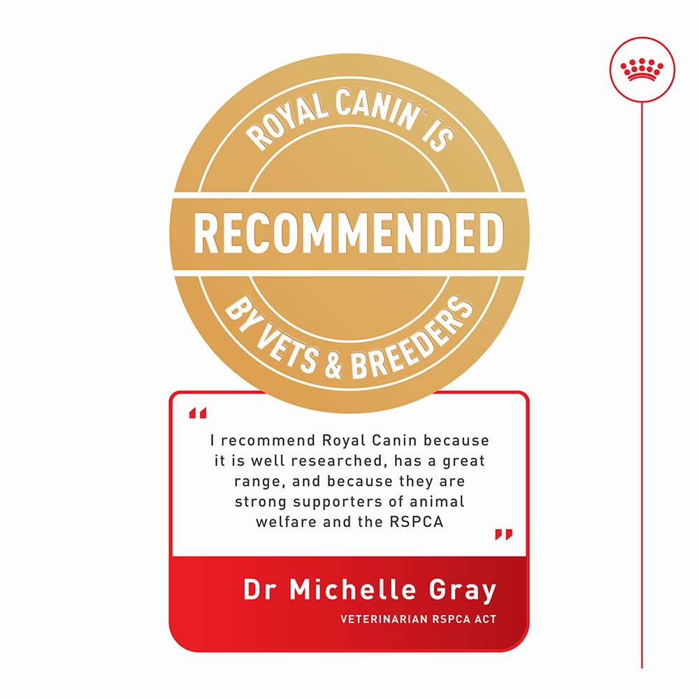 Royal Canin - Medium Adult Digestive Care Dog Dry Food (3kg)