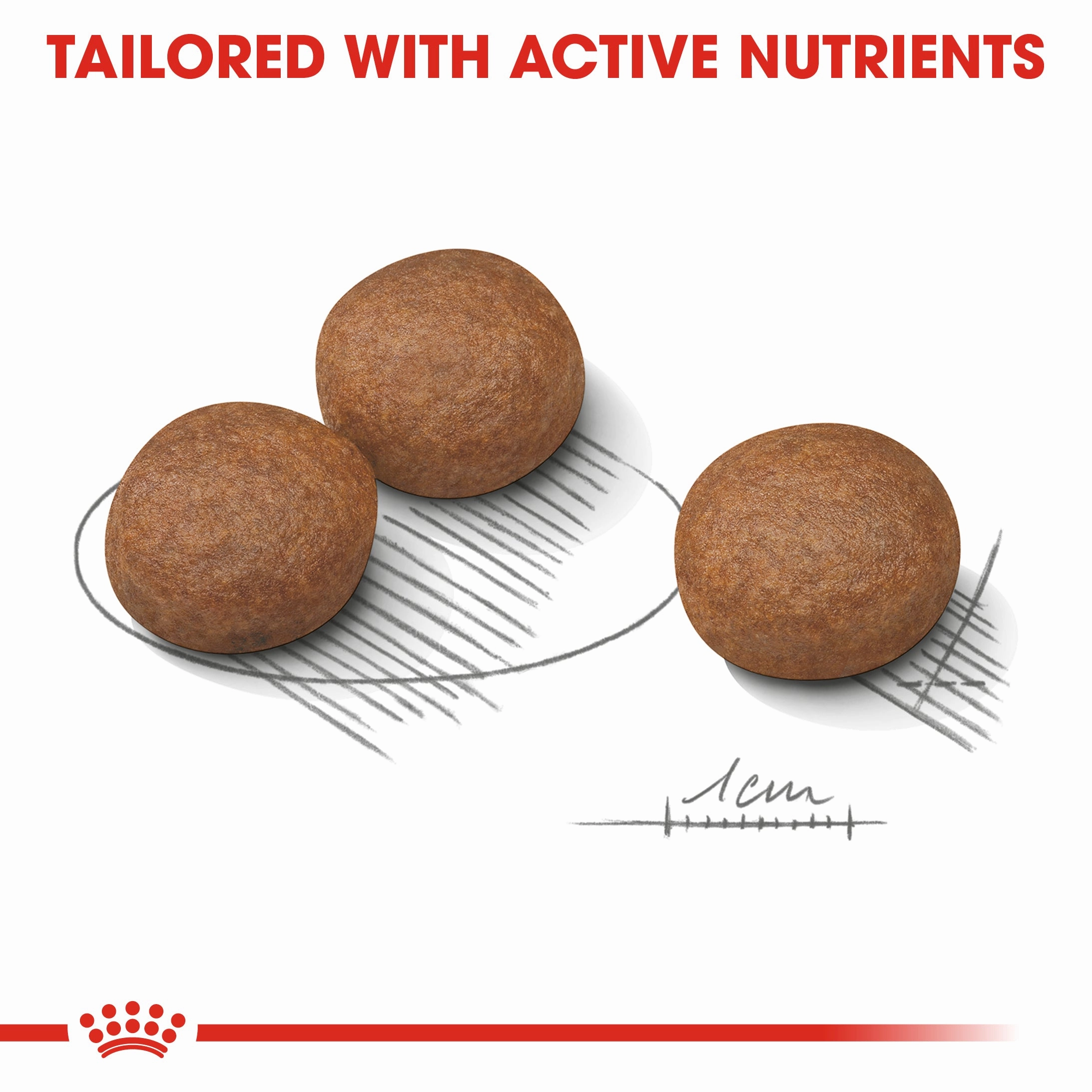 Royal Canin - Medium Adult Digestive Care Dog Dry Food (3kg)
