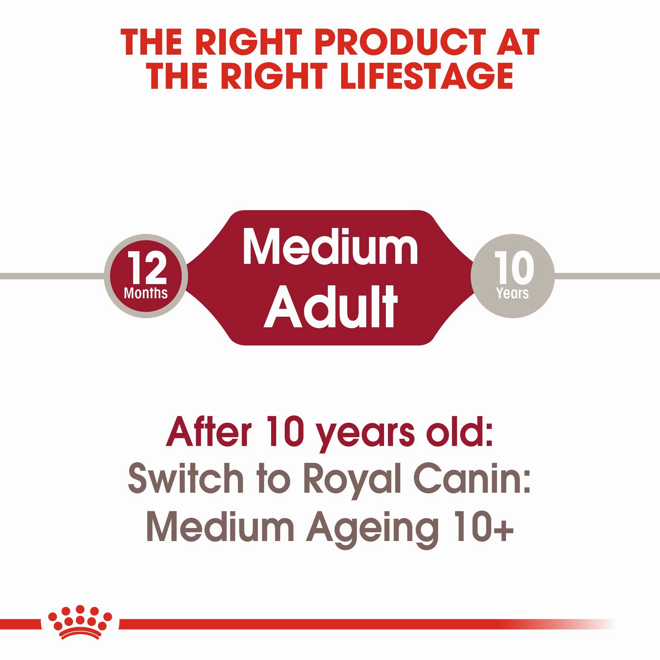 Royal Canin - Medium Adult Dog Wet Food (140g x 10pk)