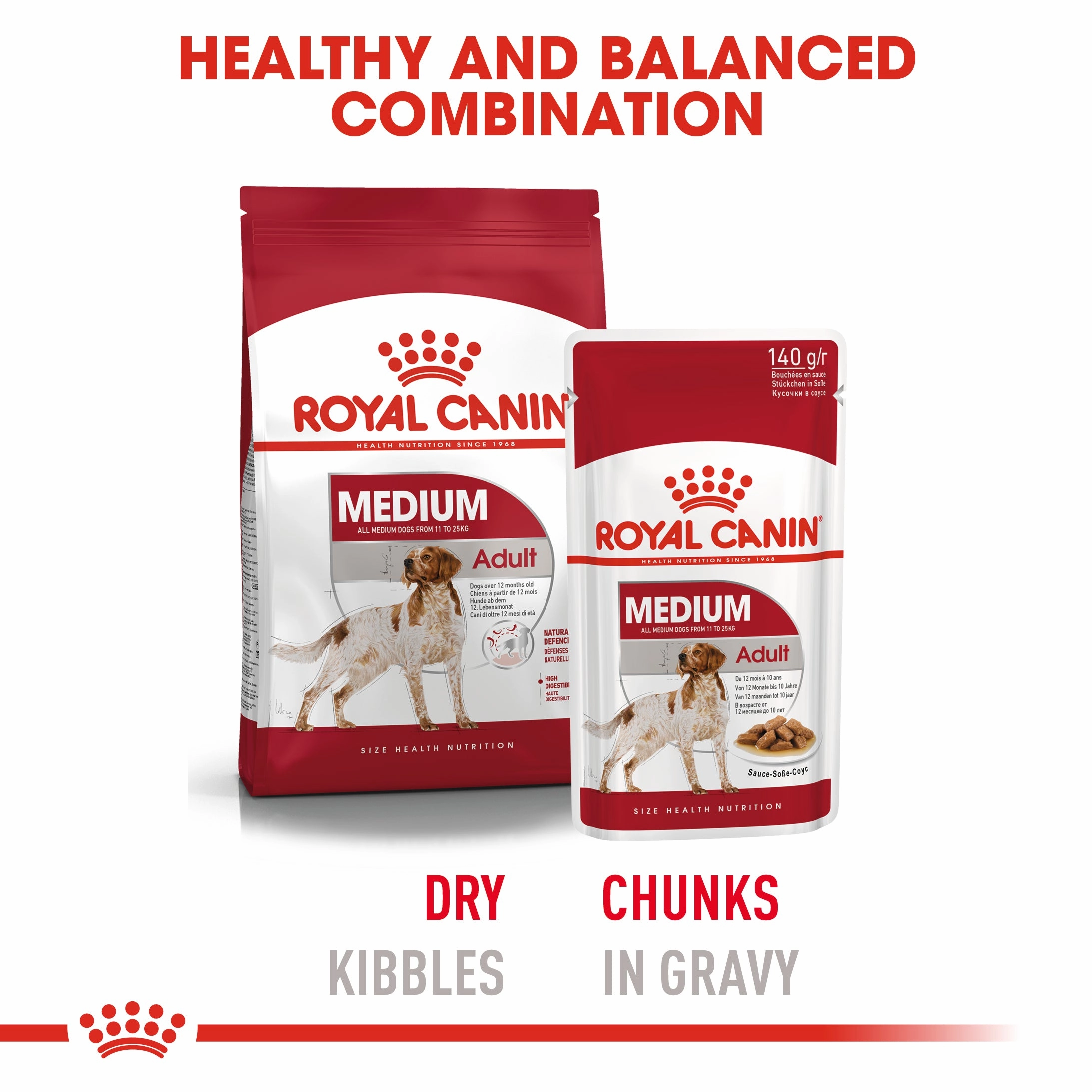 Royal Canin - Medium Adult Dog Wet Food (140g x 10pk)
