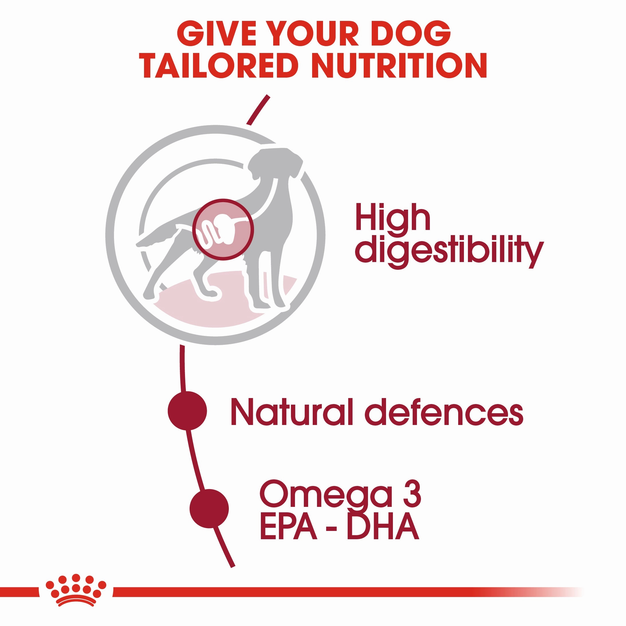 Royal Canin - Medium Adult Dog Wet Food (140g x 10pk)