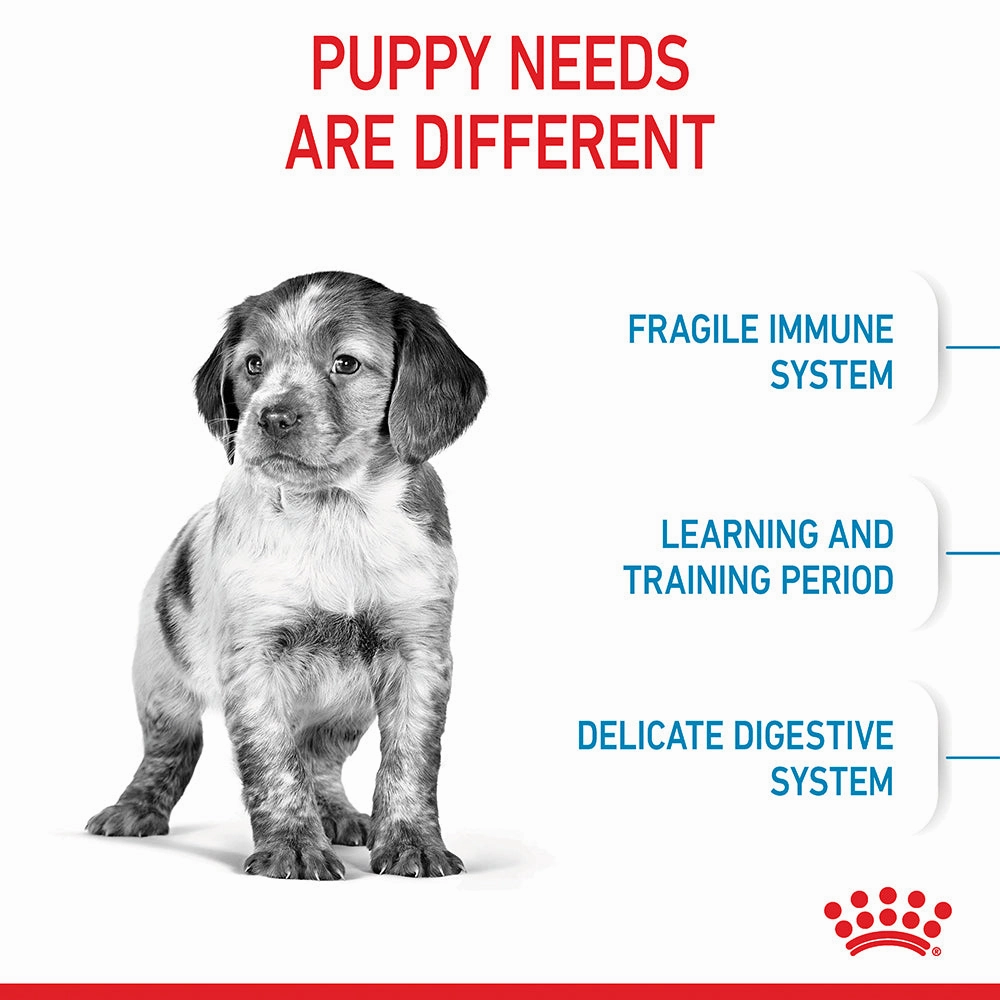 Royal Canin - Medium Puppy Dog Dry Food (15kg)