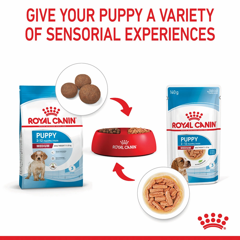 Royal Canin - Medium Puppy Dog Wet Food (140g x 10pk)