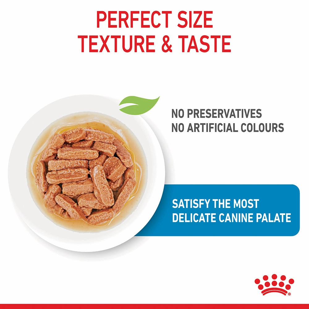 Royal Canin - Medium Puppy Dog Wet Food (140g x 10pk)