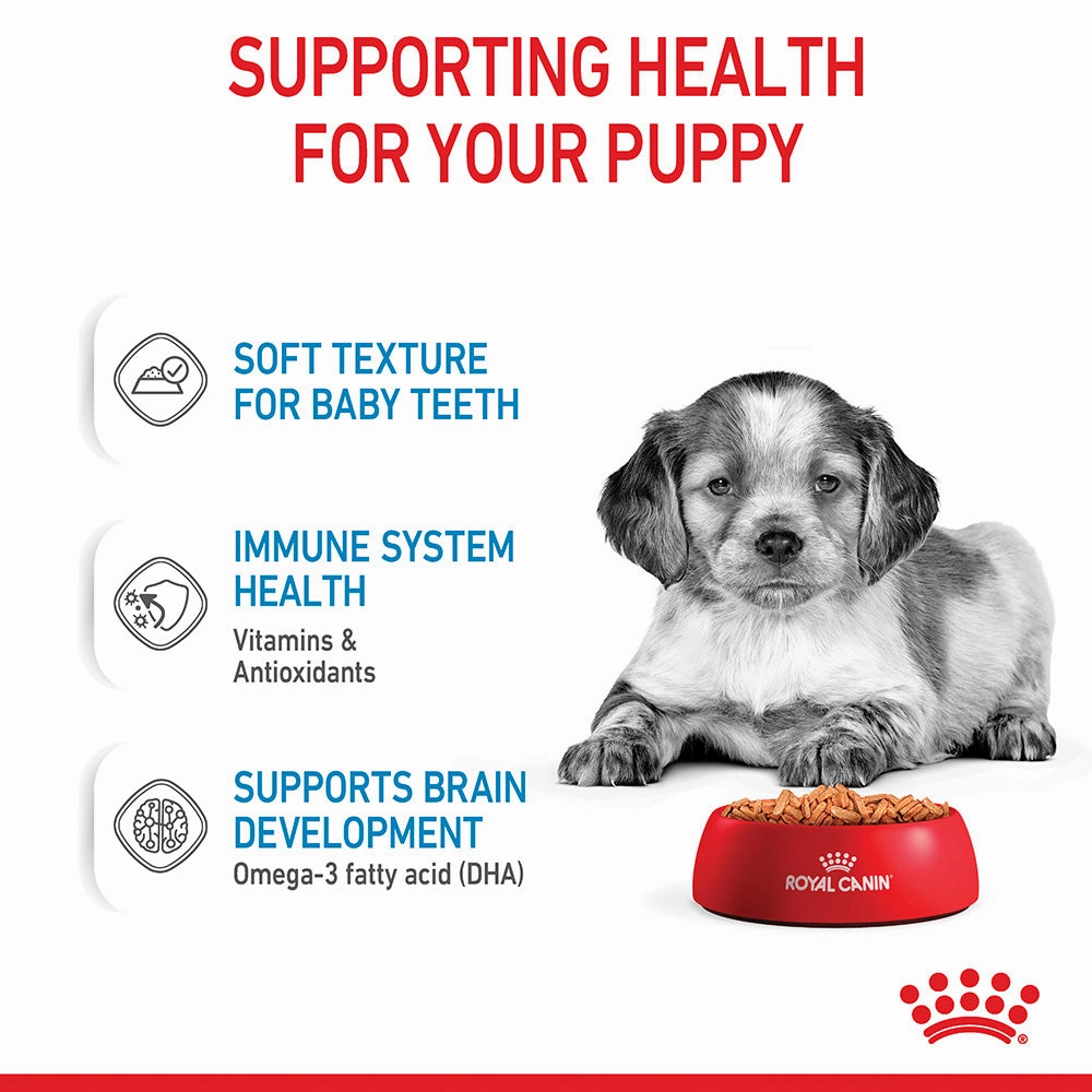 Royal Canin - Medium Puppy Dog Wet Food (140g x 10pk)