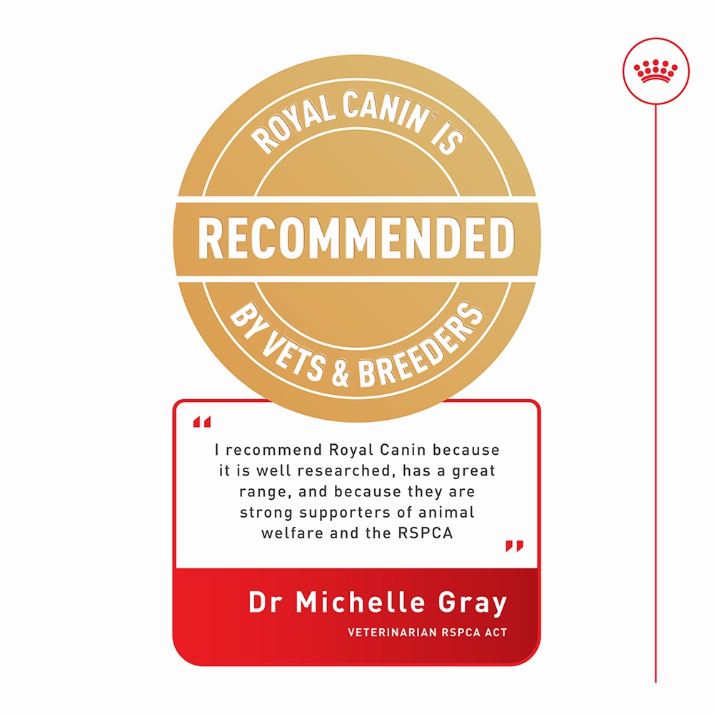 Royal Canin - Mini Adult Dog Dry Food (2kg)
