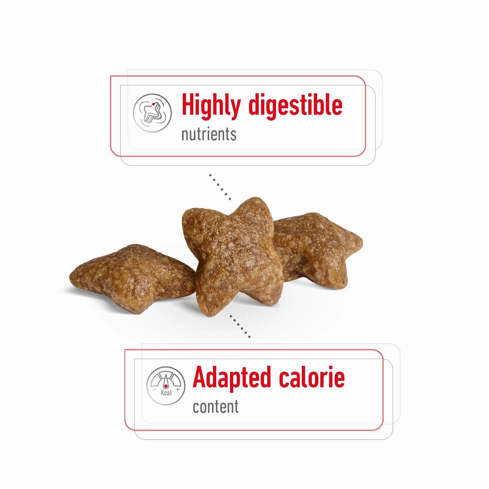 Royal Canin - Mini Adult Dog Dry Food (2kg)