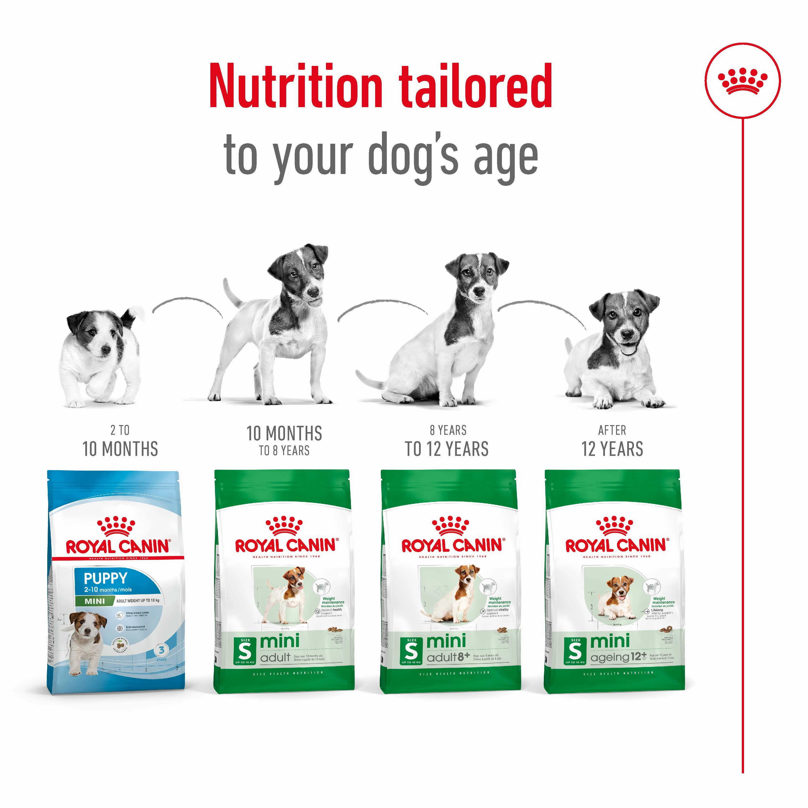 Royal Canin - Mini Adult Dog Dry Food (2kg)