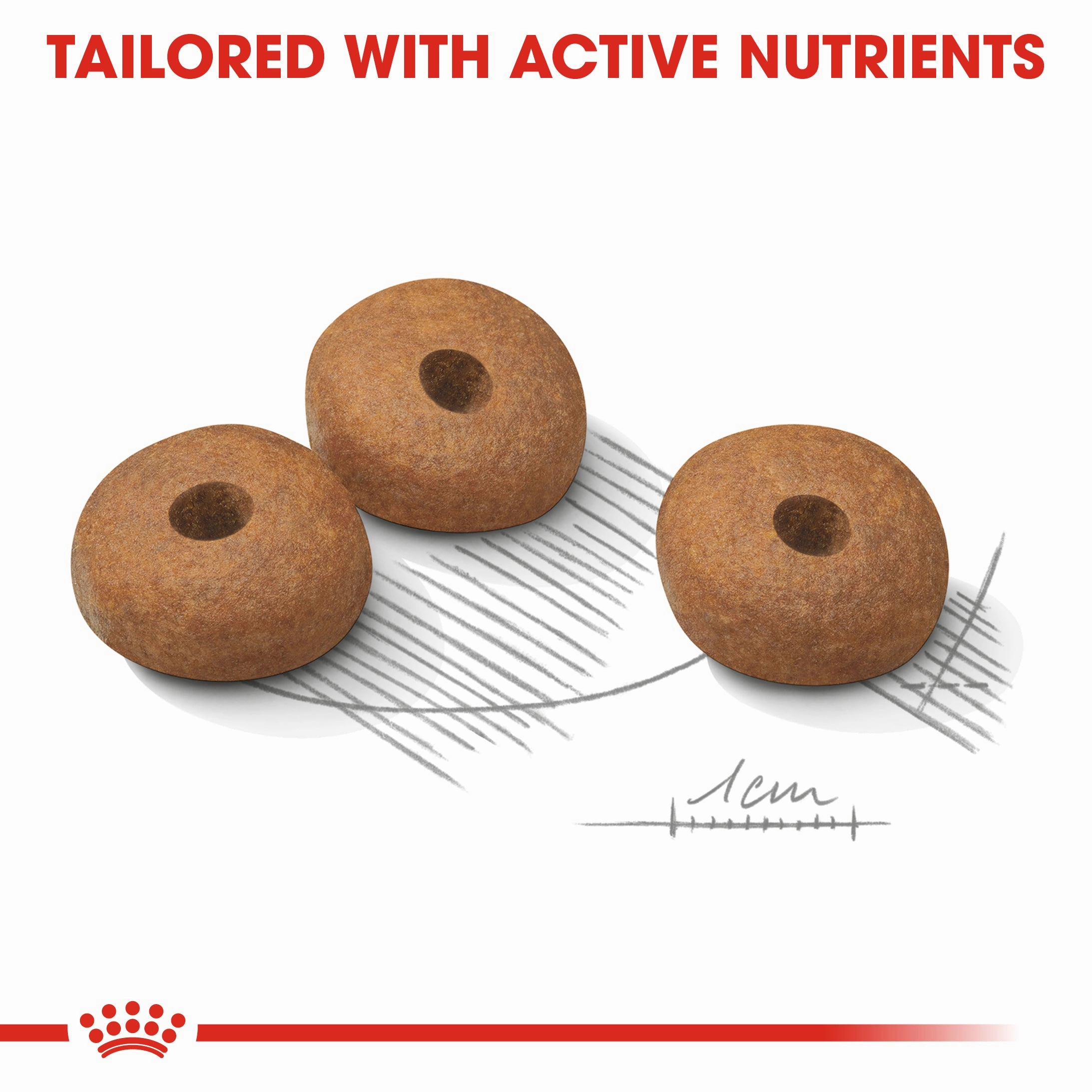 Royal Canin - Mini Adult Light Weight Care Dog Dry Food (3kg)
