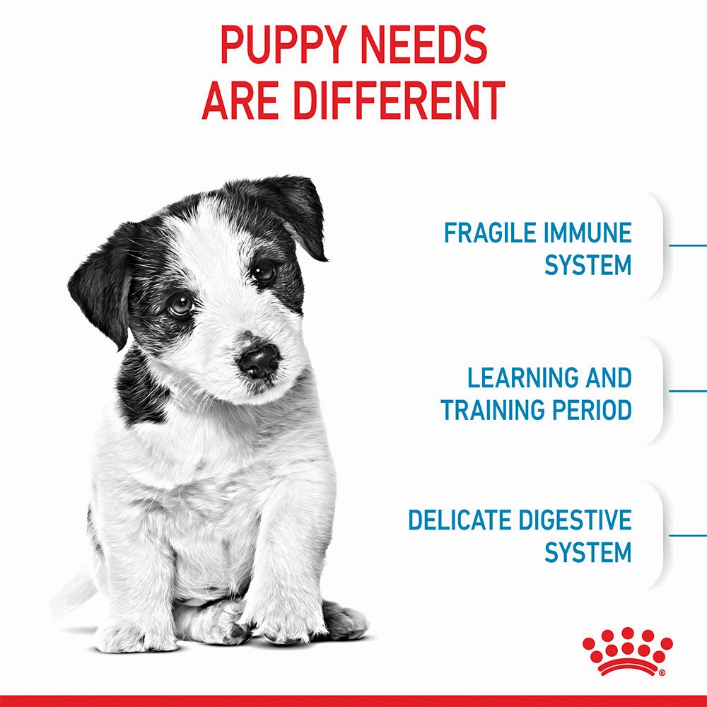Royal Canin - Mini Puppy Dog Dry Food (4kg)