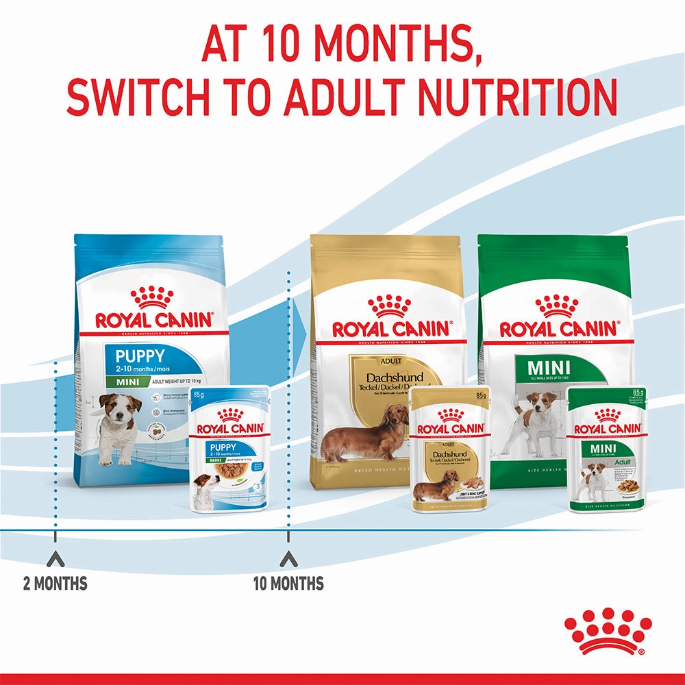 Royal Canin - Mini Puppy Dog Wet Food (85g x 12pk)