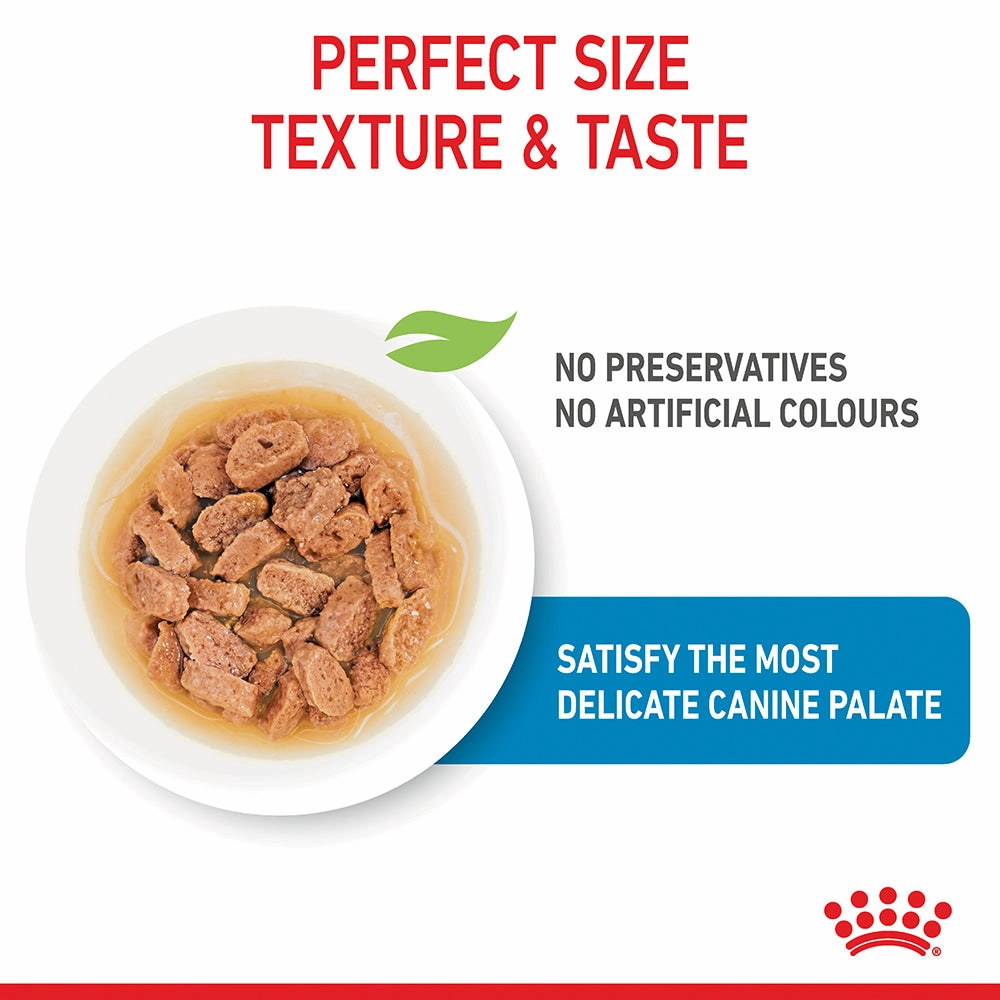 Royal Canin - Mini Puppy Dog Wet Food (85g x 12pk)