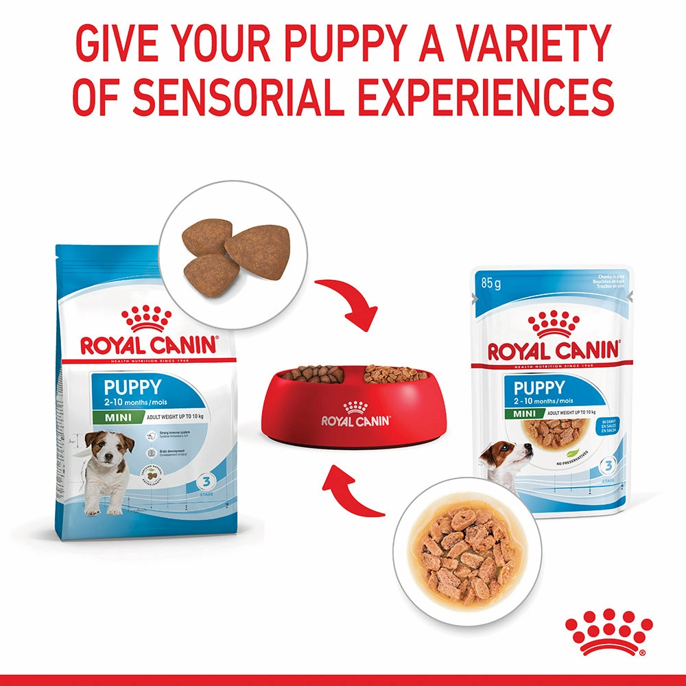 Royal Canin - Mini Puppy Dog Wet Food (85g x 12pk)