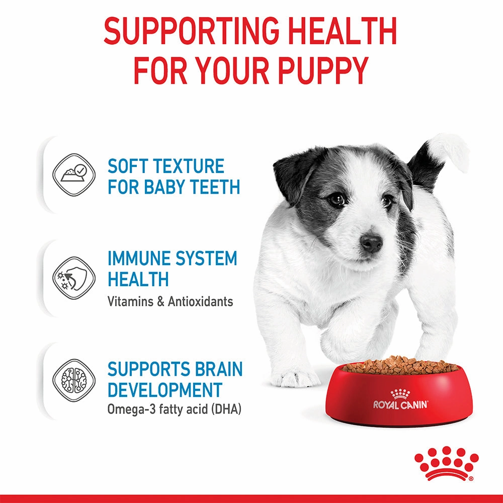 Royal Canin - Mini Puppy Dog Wet Food (85g x 12pk)