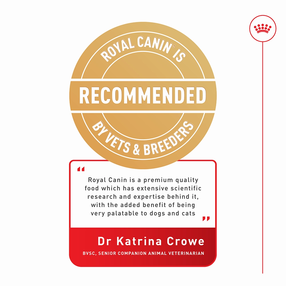 Royal Canin - Pug Breed Adult Dog Dry Food (3kg)