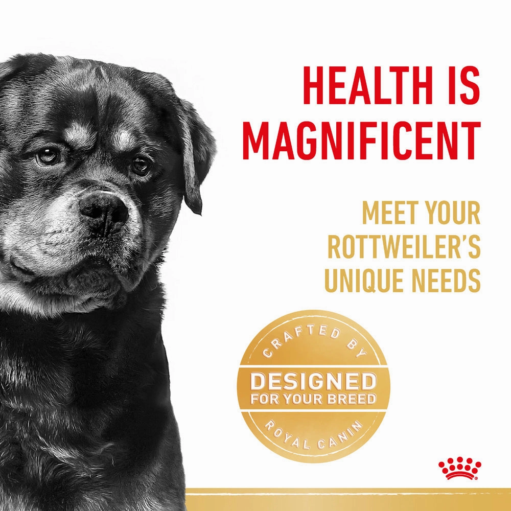 Royal Canin - Rottweiler Breed Adult Dog Dry Food (12kg)