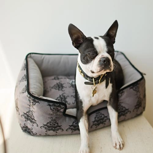 Royal Crest Lounge Dog Bed Ivory Black/Cool Grey