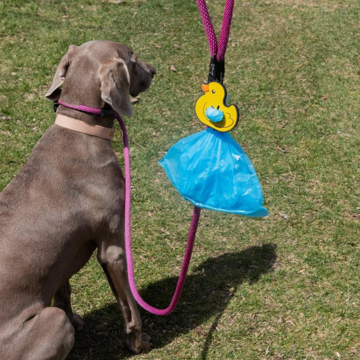 Rubber Duck Poopy Loop Poop Bag Holder