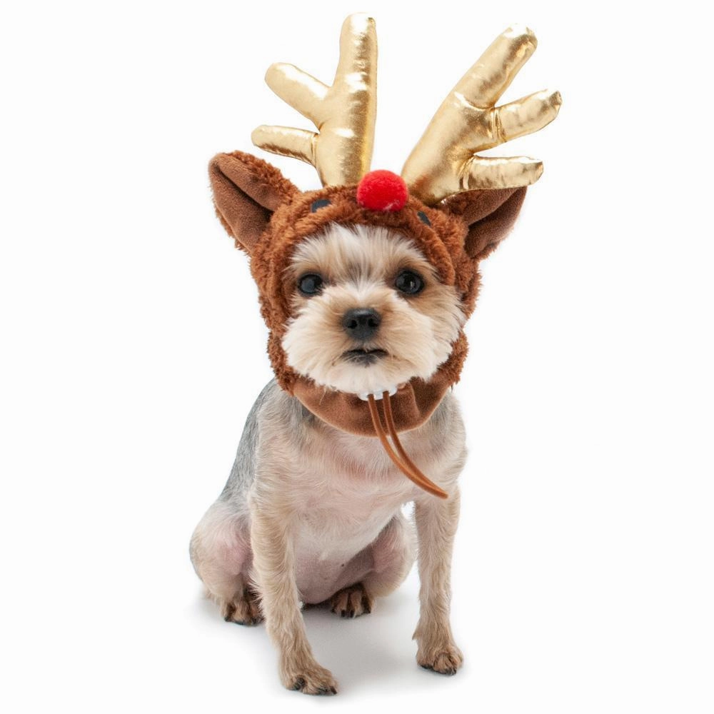 Rudolph Dog Hat