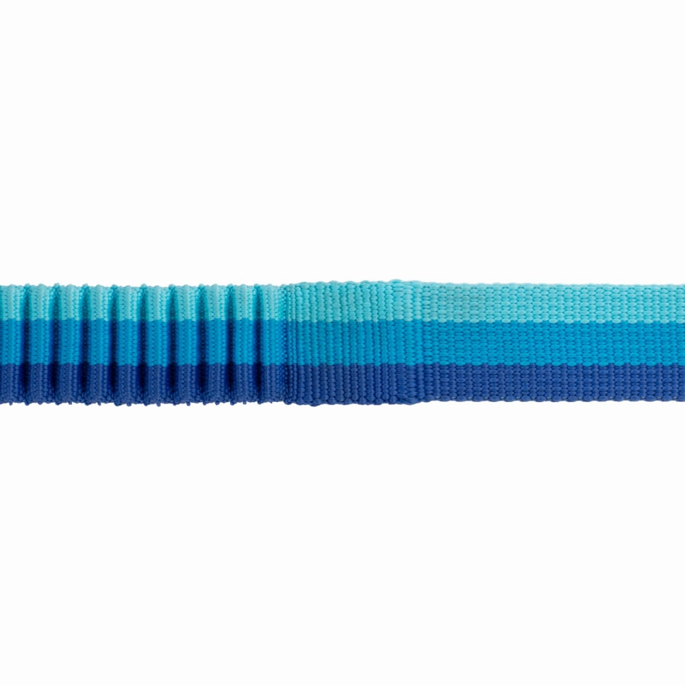 Ruffwear Roamer Bungee Leash for Dogs (Blue Atoll)