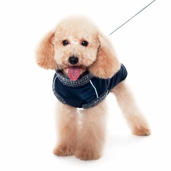 Runner Dog Coat Navy