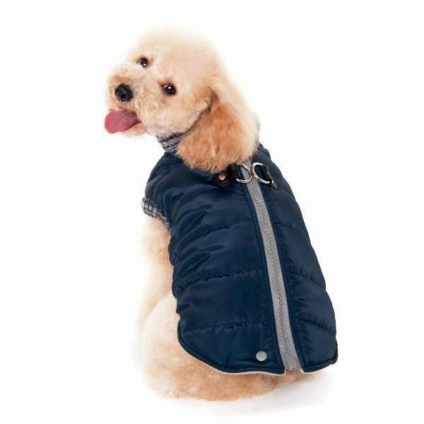 Runner Dog Coat Navy