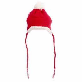 Santa Dog Hat