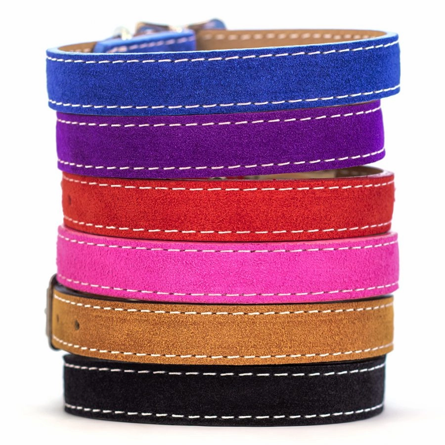 Saratoga Suede Collar in Many Colors