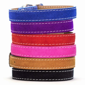 Saratoga Suede Collar in Many Colors