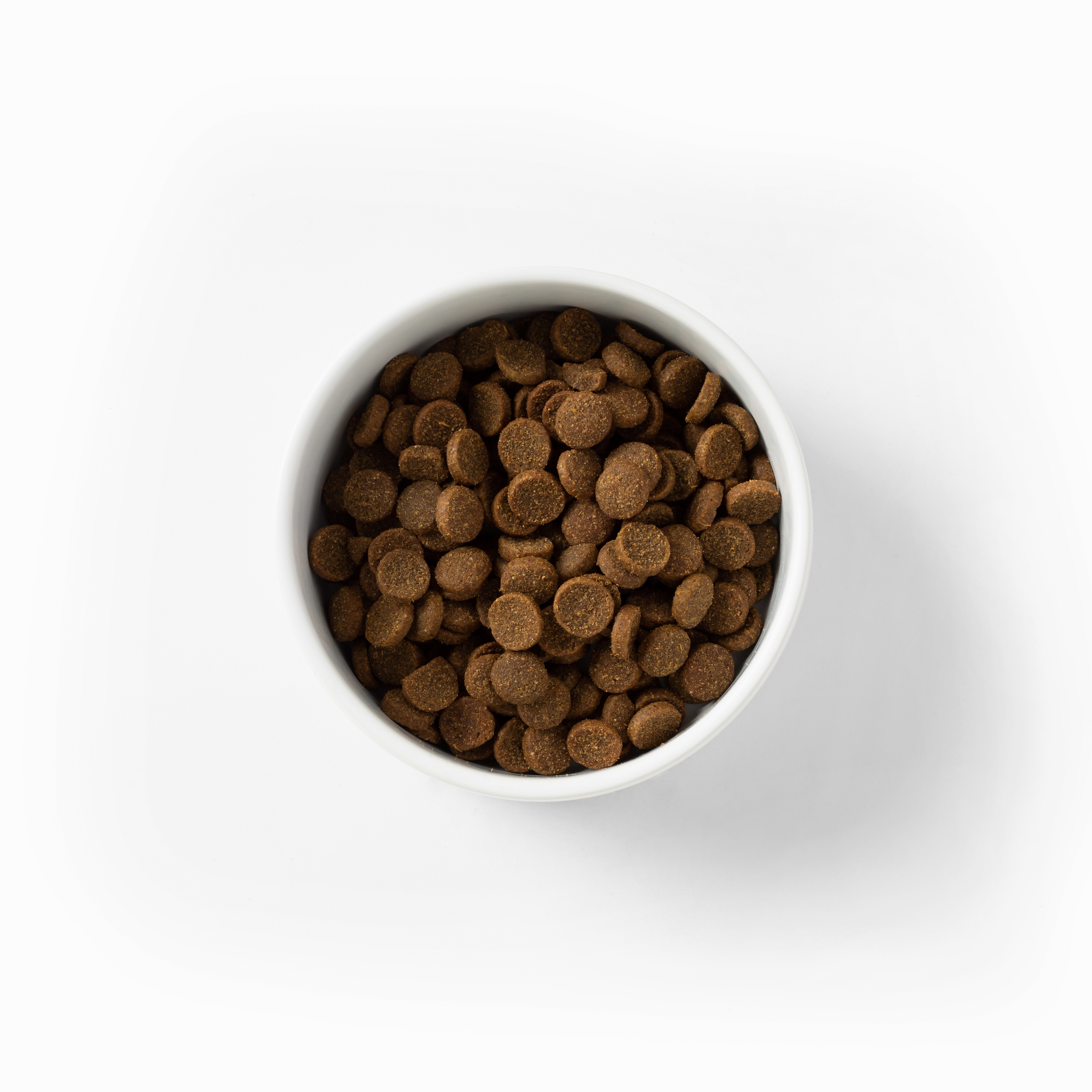 SavourLife - Essentials Beef Dog Dry Food (15kg)