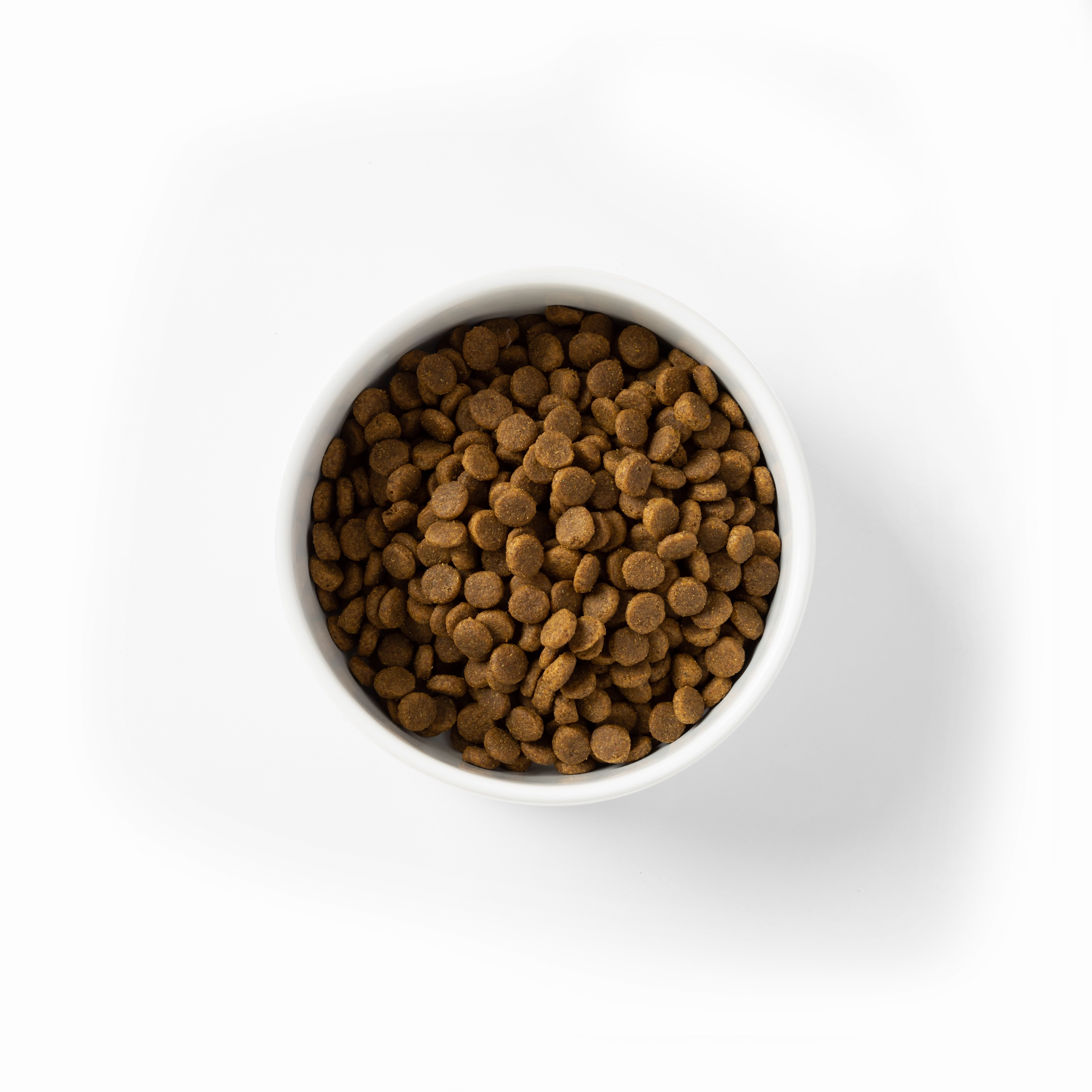 SavourLife - Grain Free Chicken Puppy Dry Food (2.5kg)