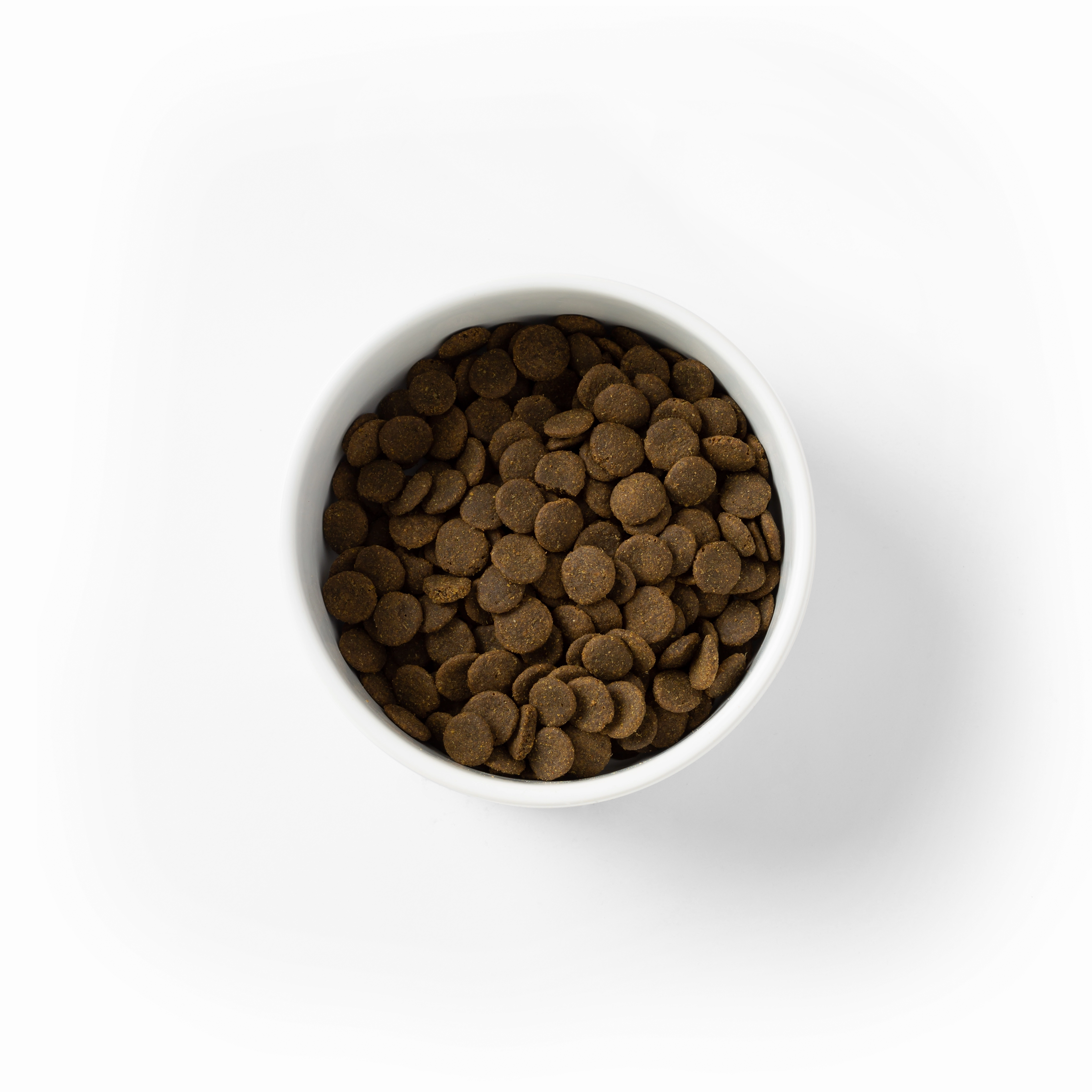 SavourLife - Grain Free Kangaroo & Chicken Dog Dry Food (2.5kg)