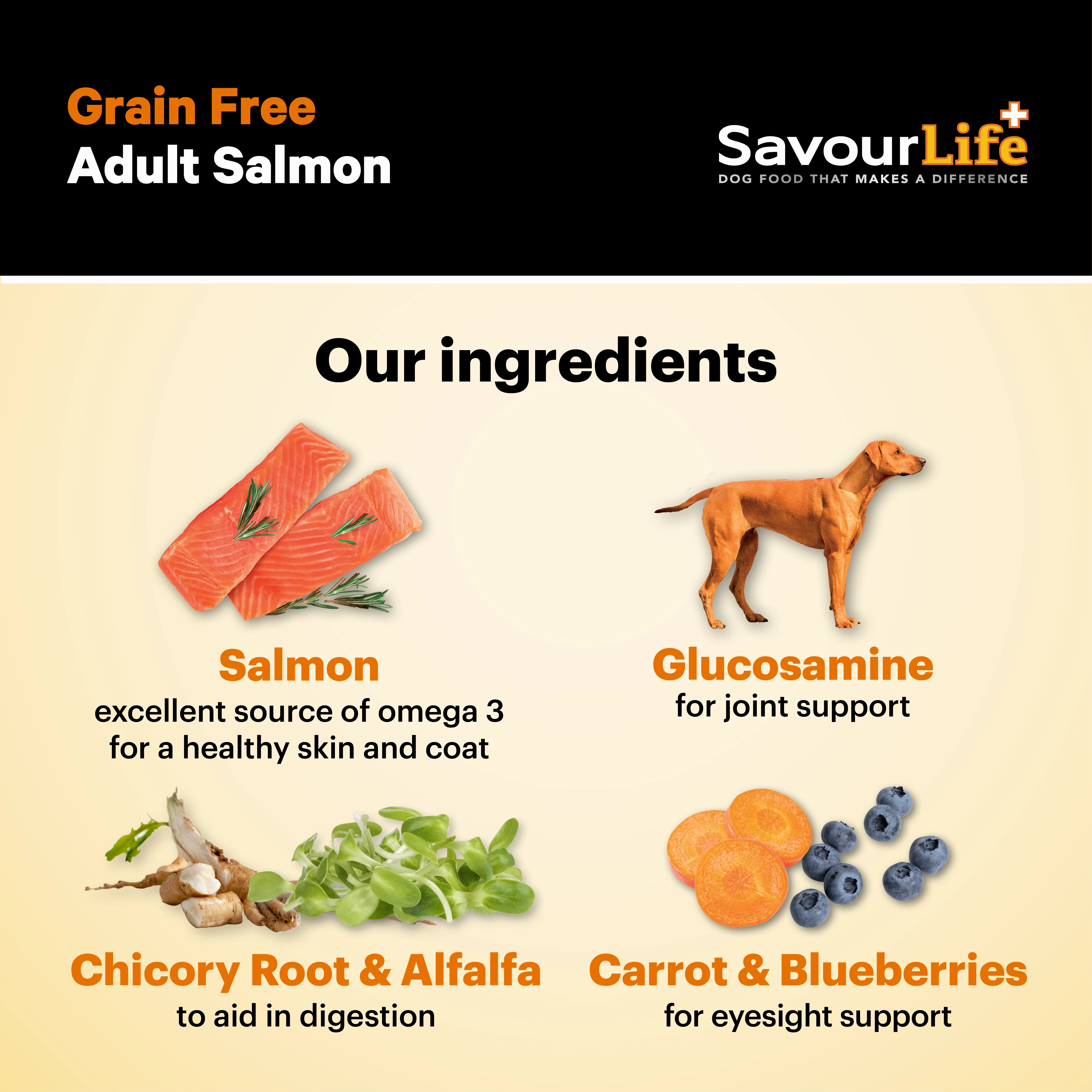 SavourLife - Grain Free Salmon Dog Dry Food (2.5kg)