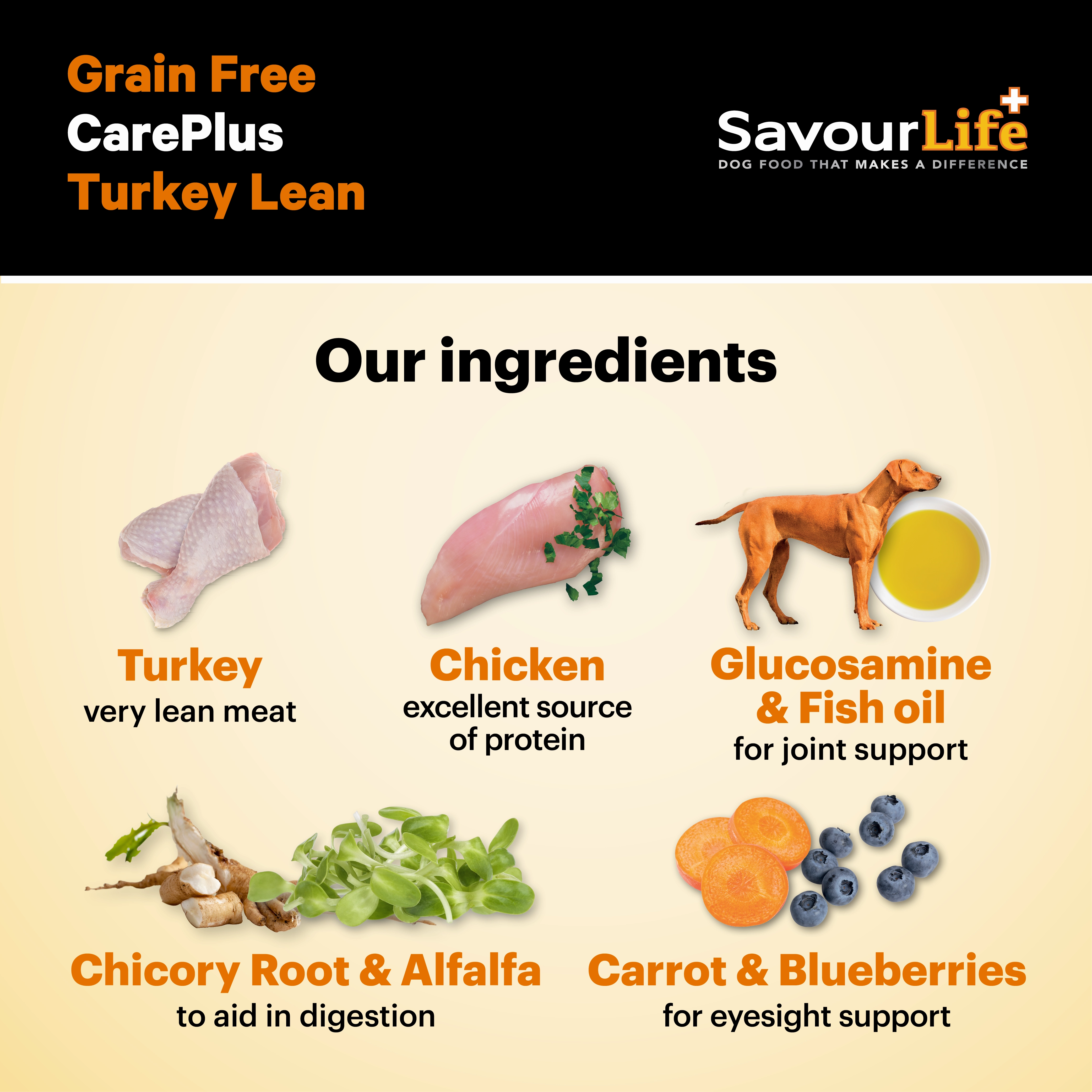 SavourLife - Grain Free Turkey CarePlus Lean Dog Dry Food (2.5kg)