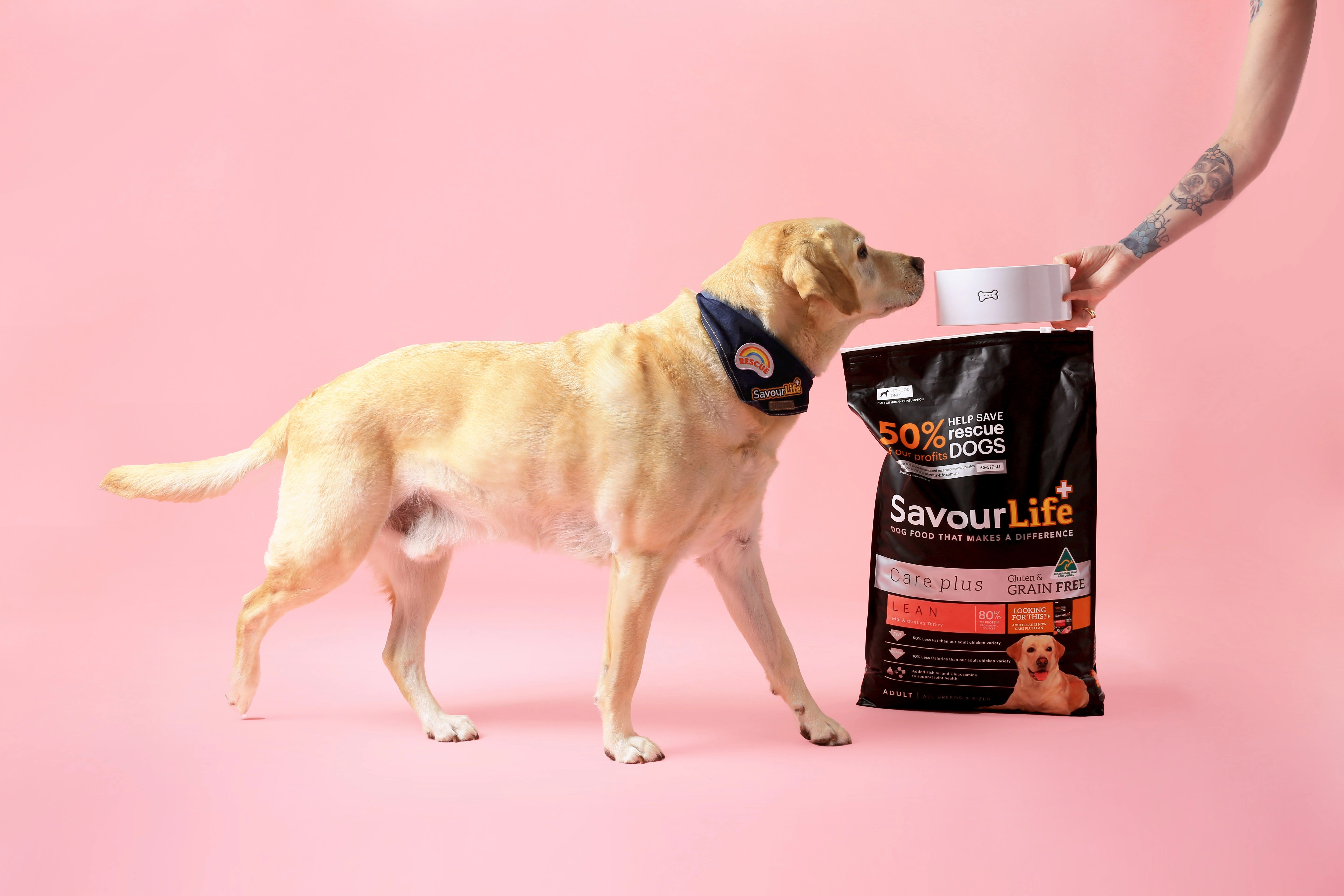 SavourLife - Grain Free Turkey CarePlus Lean Dog Dry Food (2.5kg)